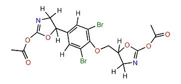 bis-2-Oxazolidone diacetate